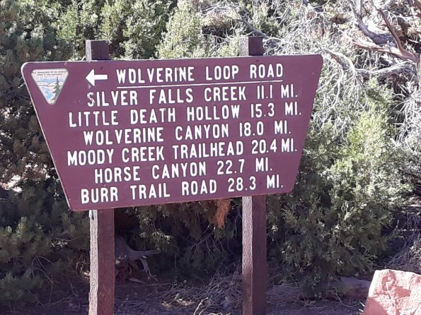 12. WolverineLoopRdSign