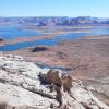 34. LakePowellFromAlstromPoint3