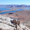 34. LakePowellFromAlstromPoint3