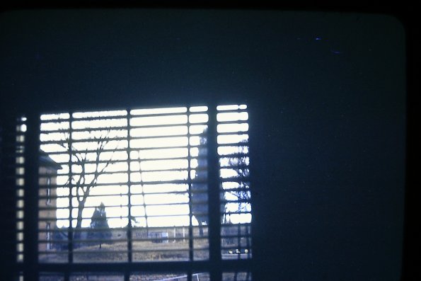 PICT0002