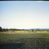 PICT0008