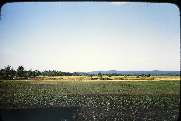 PICT0008