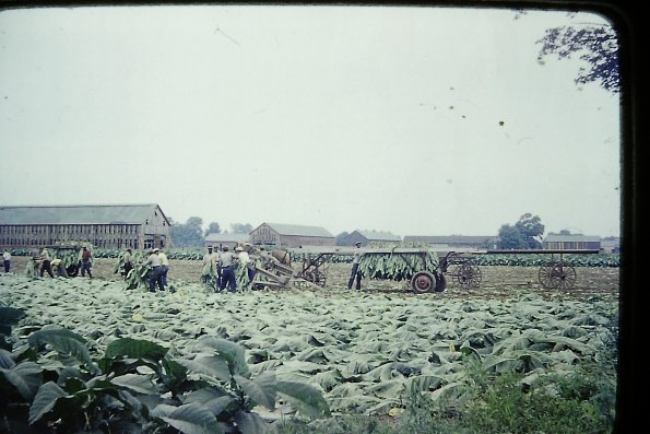 PICT0013