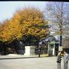 PICT0006
