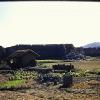 PICT0004