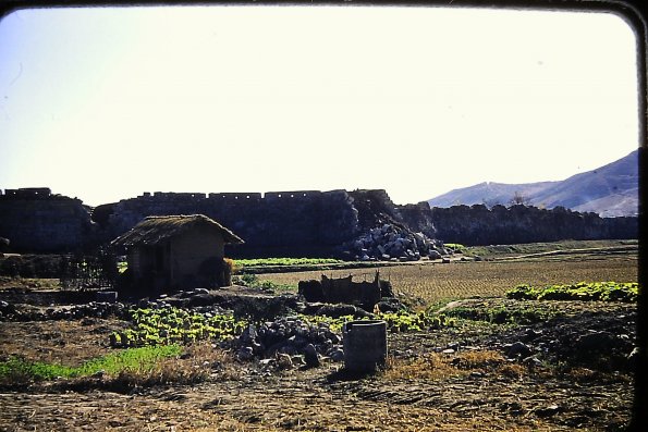 PICT0004