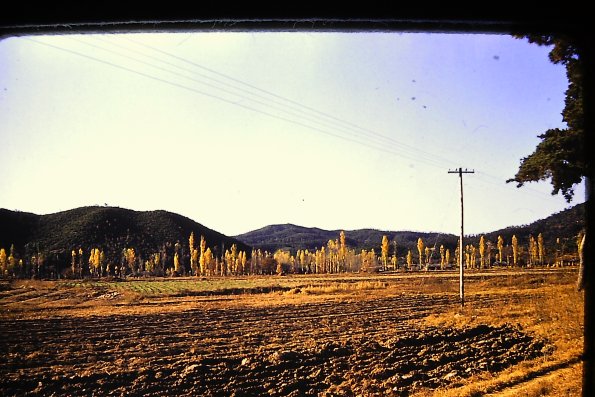 PICT0013