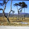 PICT0015