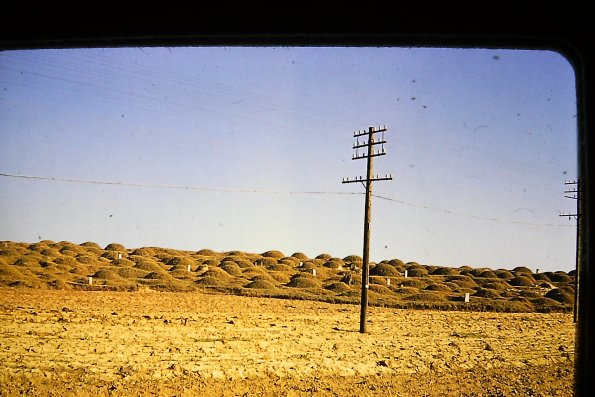 PICT0019