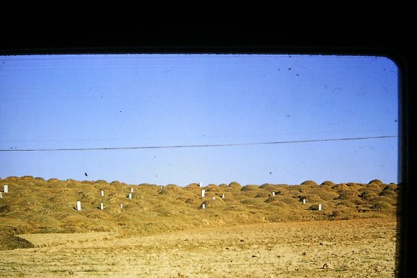 PICT0020