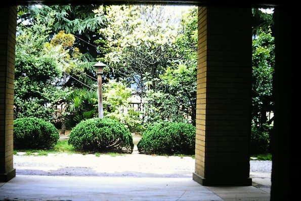 PICT0006