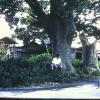 PICT0014