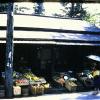 PICT0018