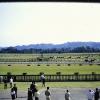 PICT0010
