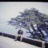 PICT0013