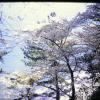 PICT0014