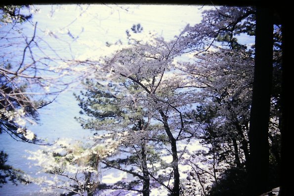 PICT0014