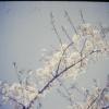 PICT0015