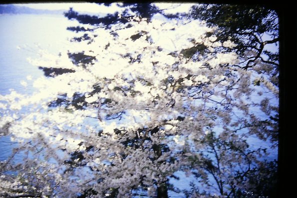 PICT0020