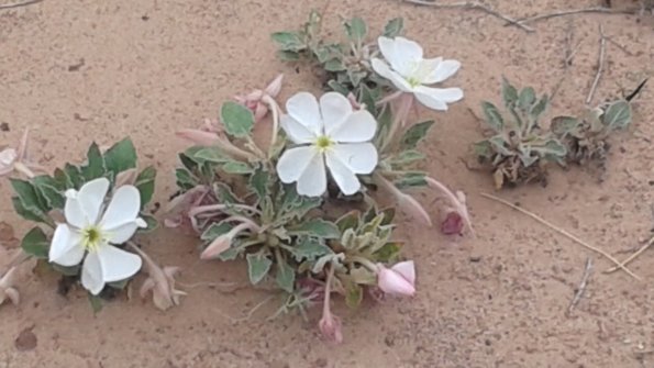 20160426_140325