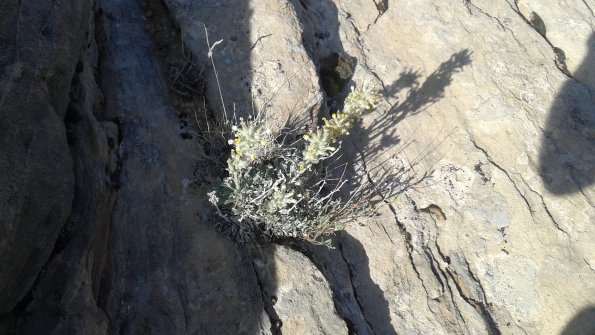 20160427_090703