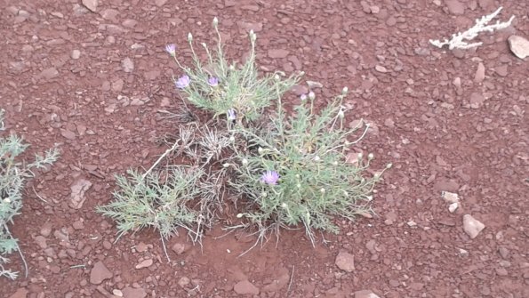 20160428_085746
