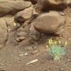 20160428_085833