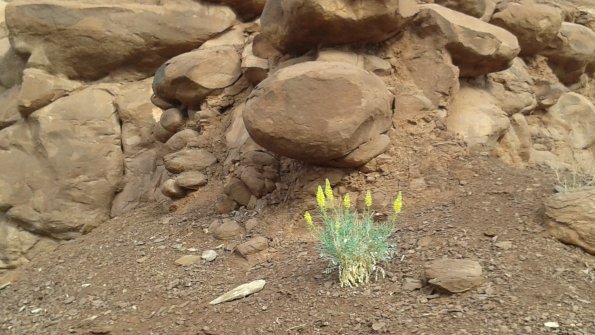 20160428_085833