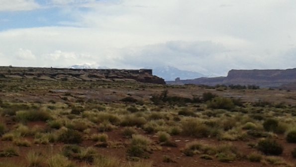 20160428_122333 (1)