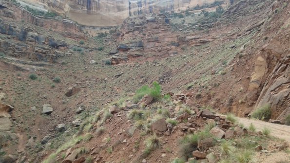 20160428_135941 (1)